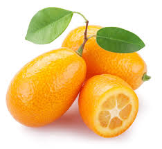 kumquat